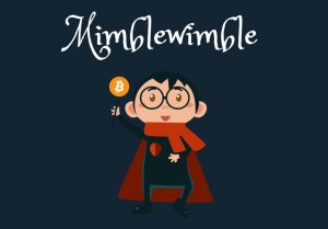 mimblewimble cover.2JPG 300x209 - Mimblewimble چیست؟